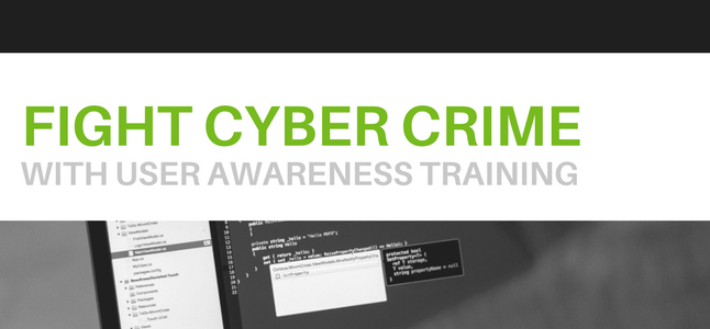 Cyber Crime Blog Reformatted