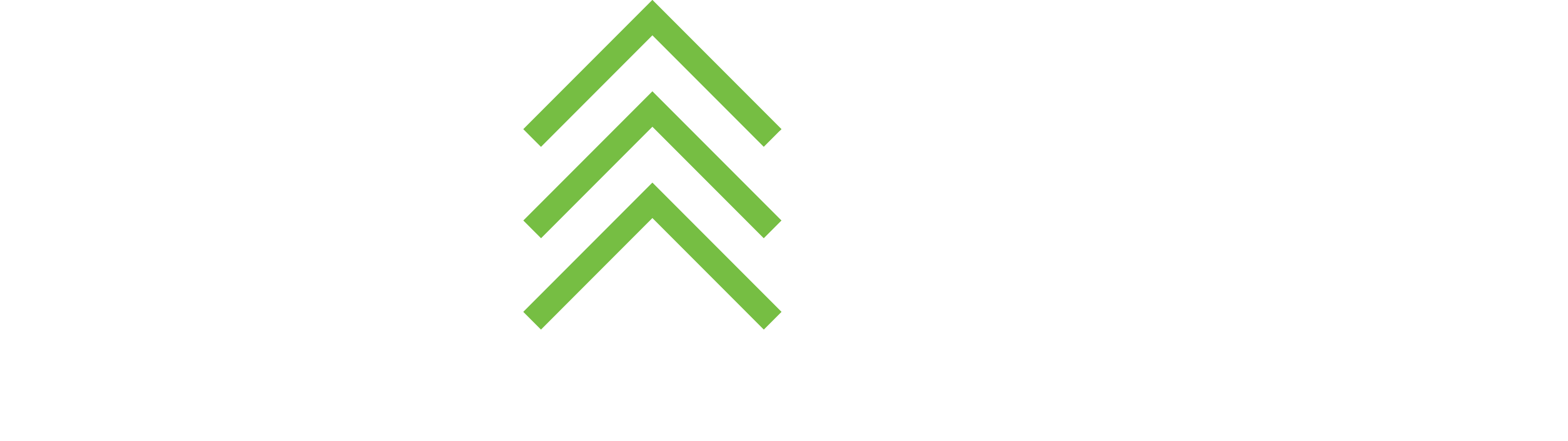 FN_Reverse_Logo