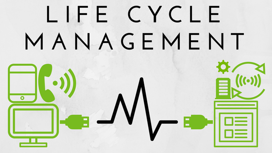 Life Cycle Management (1).png