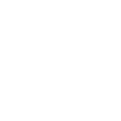 cyberverify-1