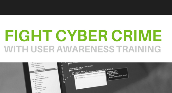 Be Prepared To Fight Cybercrime With User Training